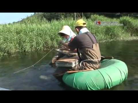 Japan in Motion Saison 3 #01 Japan in Motion Saison 3 #01